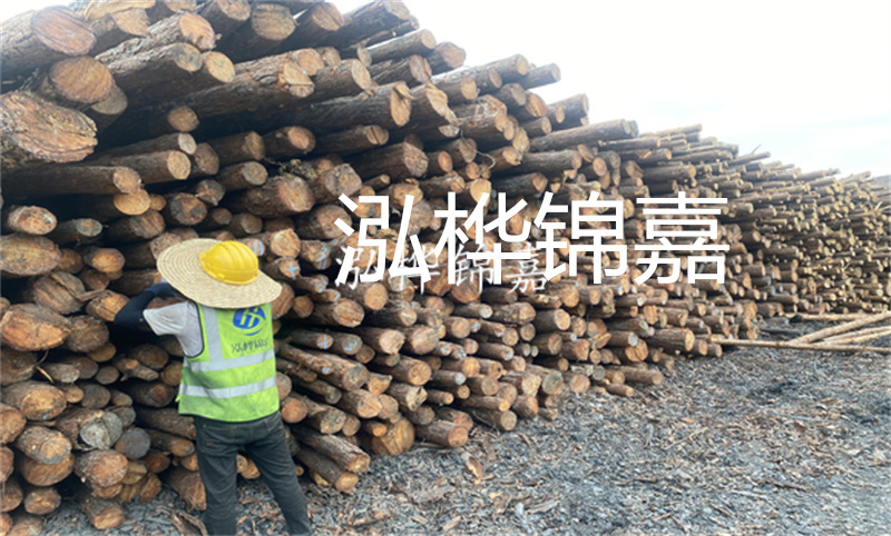 當(dāng)建筑需要強(qiáng)大支撐，鄭州這里有松木樁！