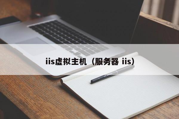 iis虛擬主機（服務器 iis）