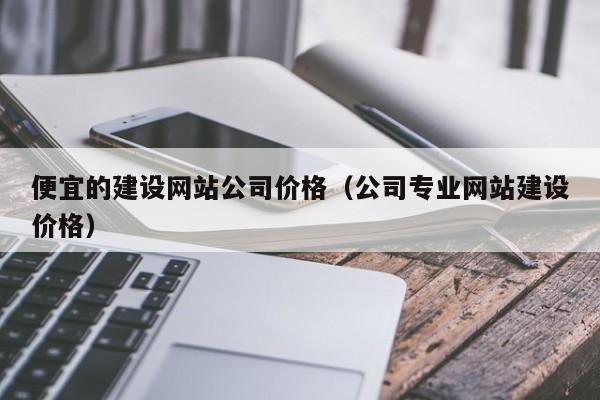 便宜的建設(shè)網(wǎng)站公司價(jià)格（公司專業(yè)網(wǎng)站建設(shè)價(jià)格）