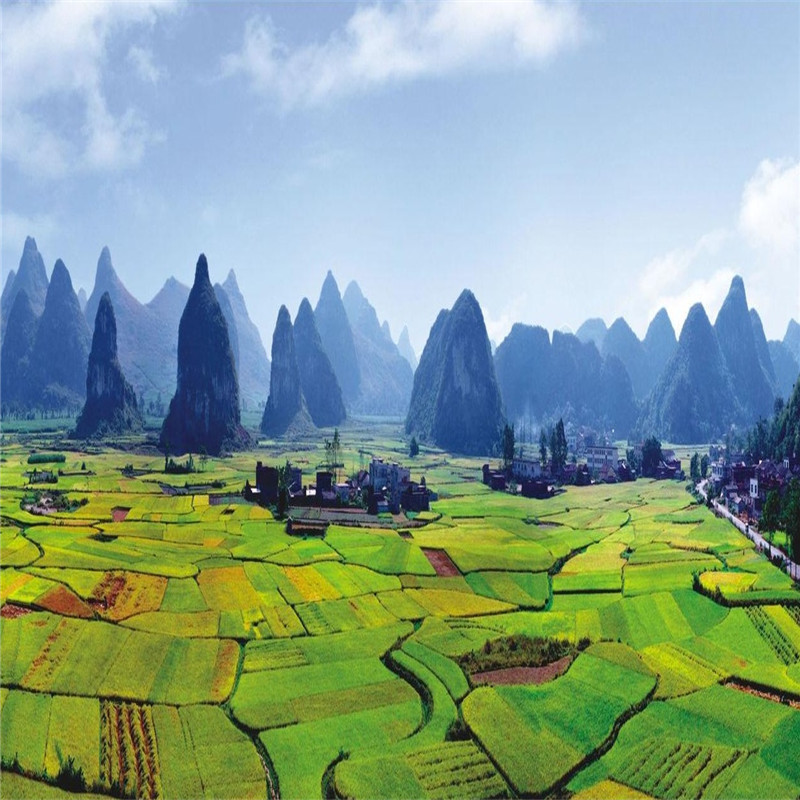 柳江區(qū)柳江區(qū)