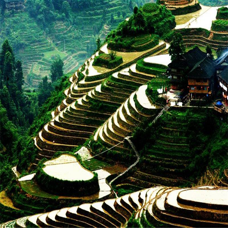 龍勝各族自治縣龍勝