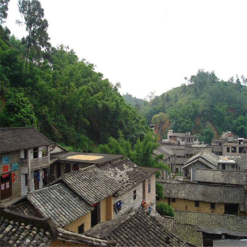 博白縣博白縣_副本1