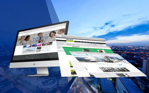 專業(yè)制作網(wǎng)站22